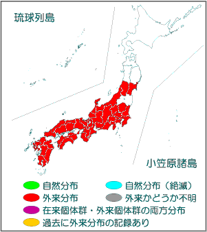 国内分布図