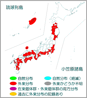 国内分布図