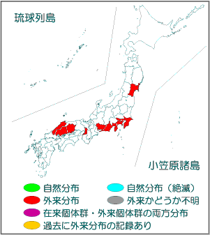 国内分布図