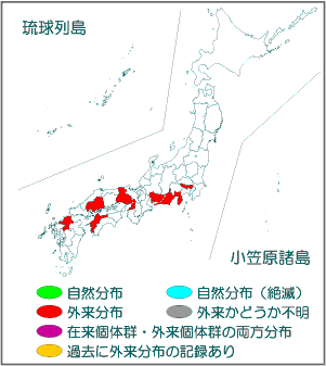 国内分布図