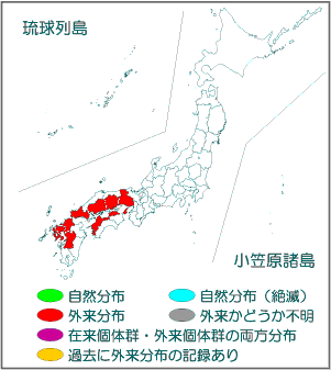 国内分布図