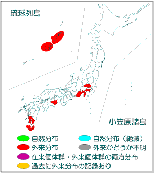 国内分布図