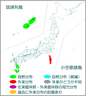 国内分布図