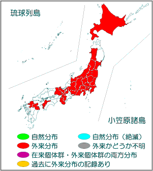 国内分布図