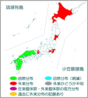 国内分布図