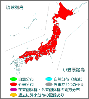 国内分布図