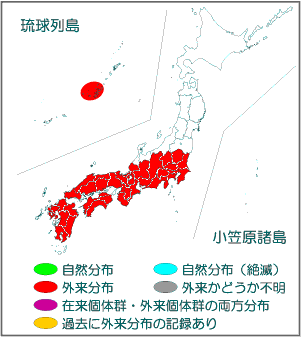 国内分布図