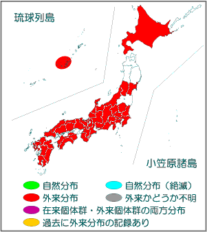 国内分布図