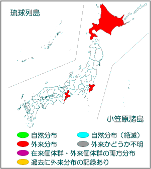 国内分布図