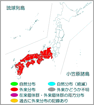 国内分布図