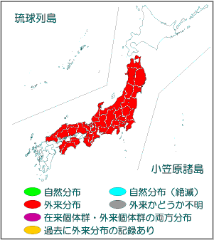 国内分布図