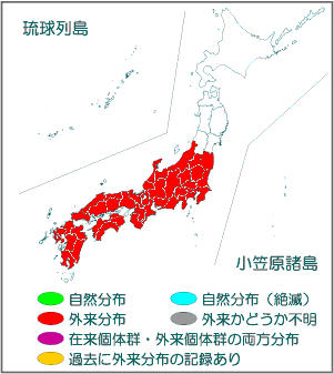 国内分布図