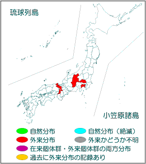 国内分布図