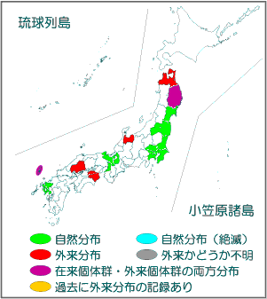 国内分布図