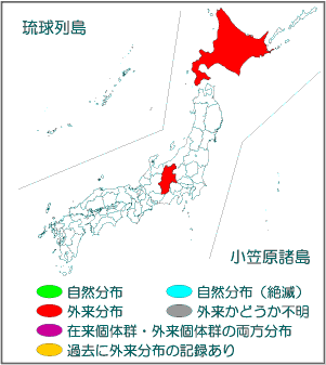 国内分布図