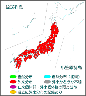 国内分布図