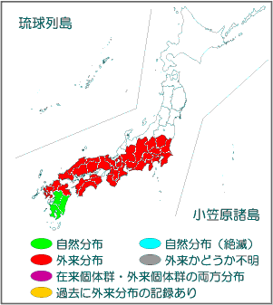 国内分布図