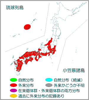 国内分布図