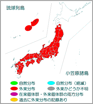 国内分布図