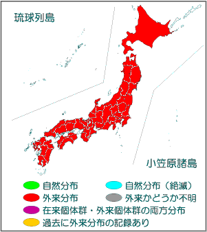 ハルガヤ 国立環境研究所 侵入生物db