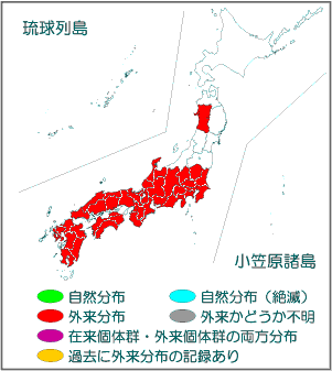 国内分布図