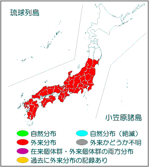 国内分布図