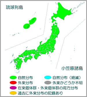 国内分布図