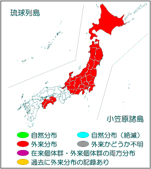 国内分布図