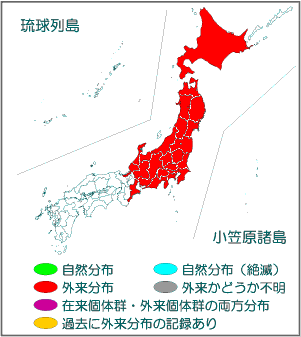 国内分布図