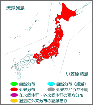 国内分布図