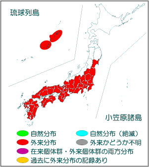 国内分布図