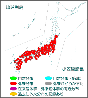 国内分布図