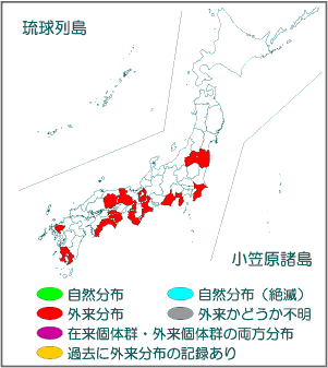 国内分布図