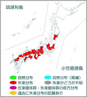 国内分布図