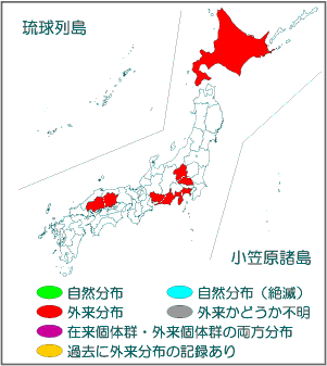 国内分布図