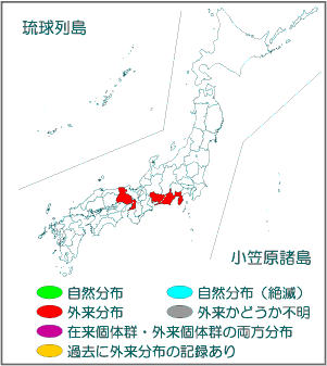 国内分布図