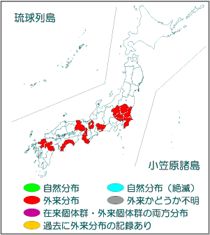 国内分布図