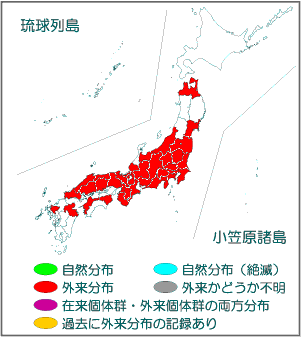 国内分布図