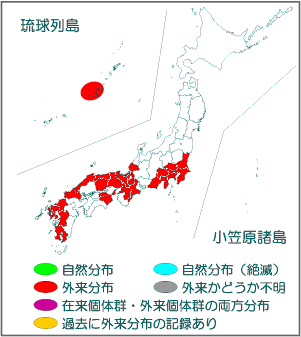 国内分布図