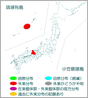 国内分布図