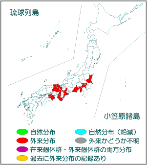 国内分布図