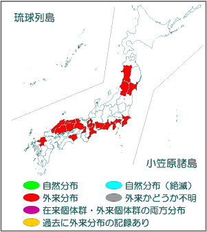 国内分布図