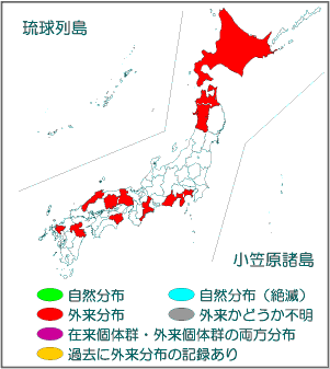 国内分布図