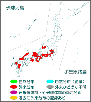 国内分布図