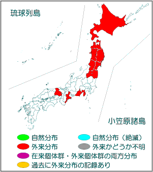 国内分布図