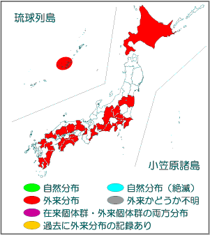 国内分布図