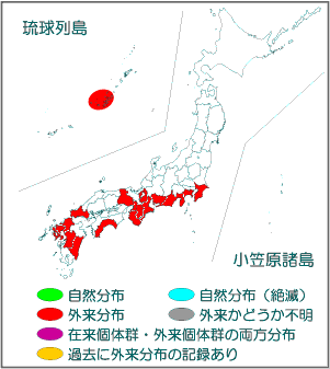 国内分布図