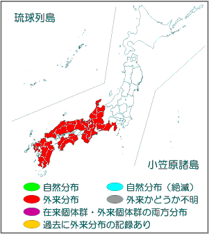 国内分布図