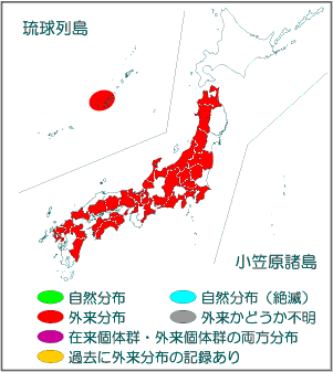 国内分布図