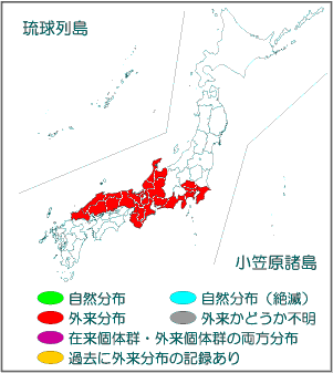 国内分布図